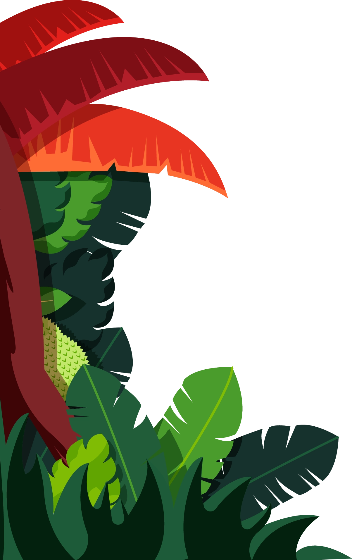 Tropical leaves and red flowers from the jungle illustration