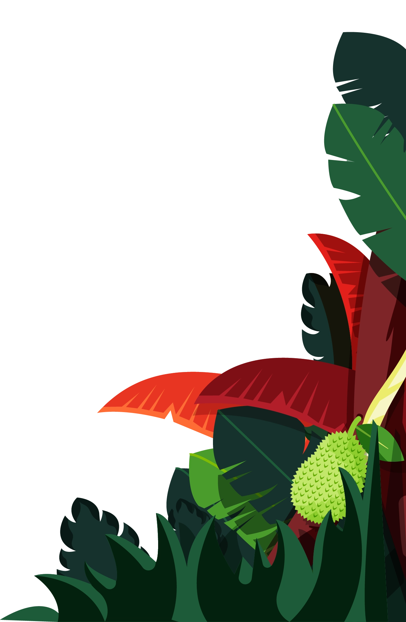Jungle plants and red leaves framing the founder story