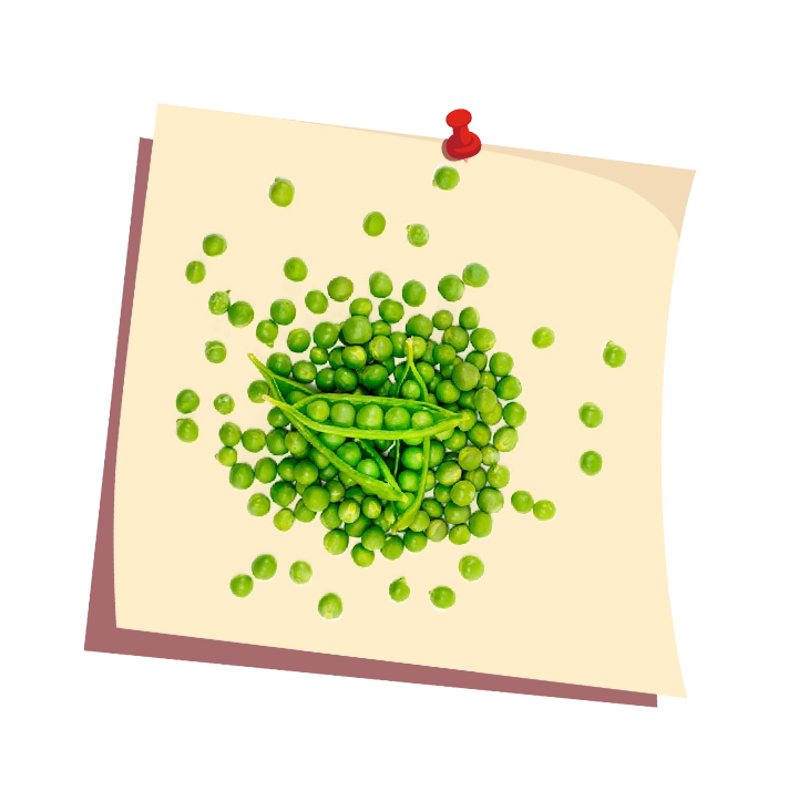 Pea protein high fiber snack