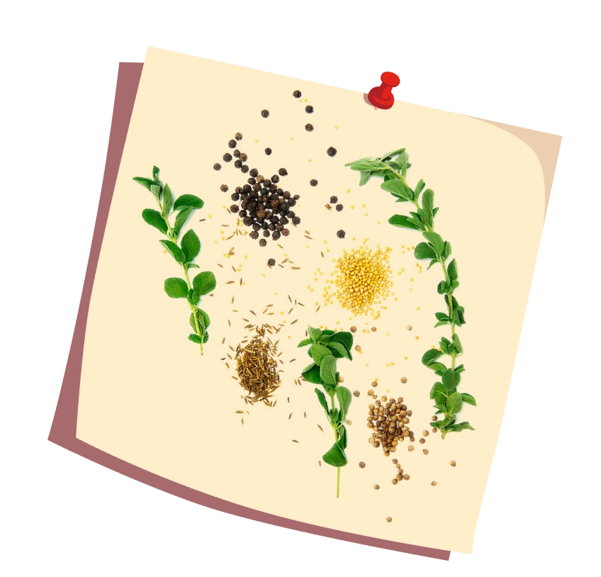 Natural spices gluten-free plant-based snack