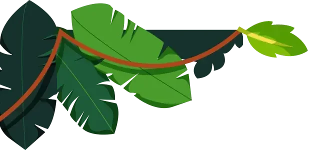 Jungle leaves and vines