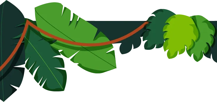 Leaves growing along the jungle floor