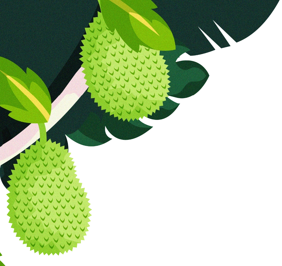 Illustrated jackfruit hanging from a branch, left