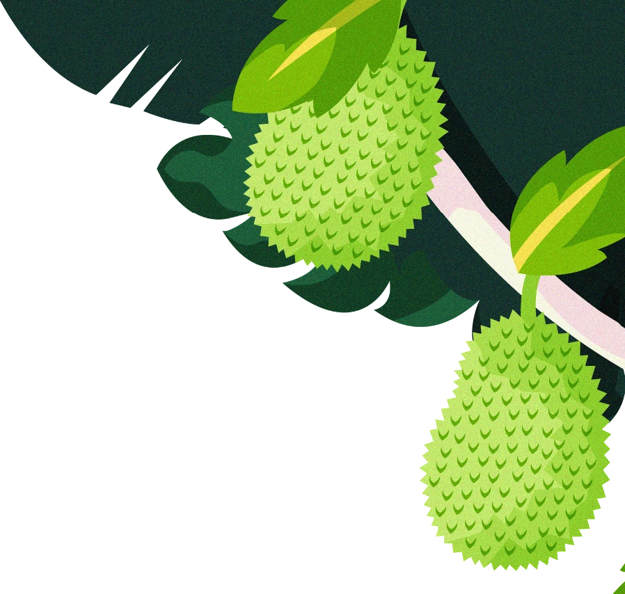Illustrated jackfruit hanging from a branch, right